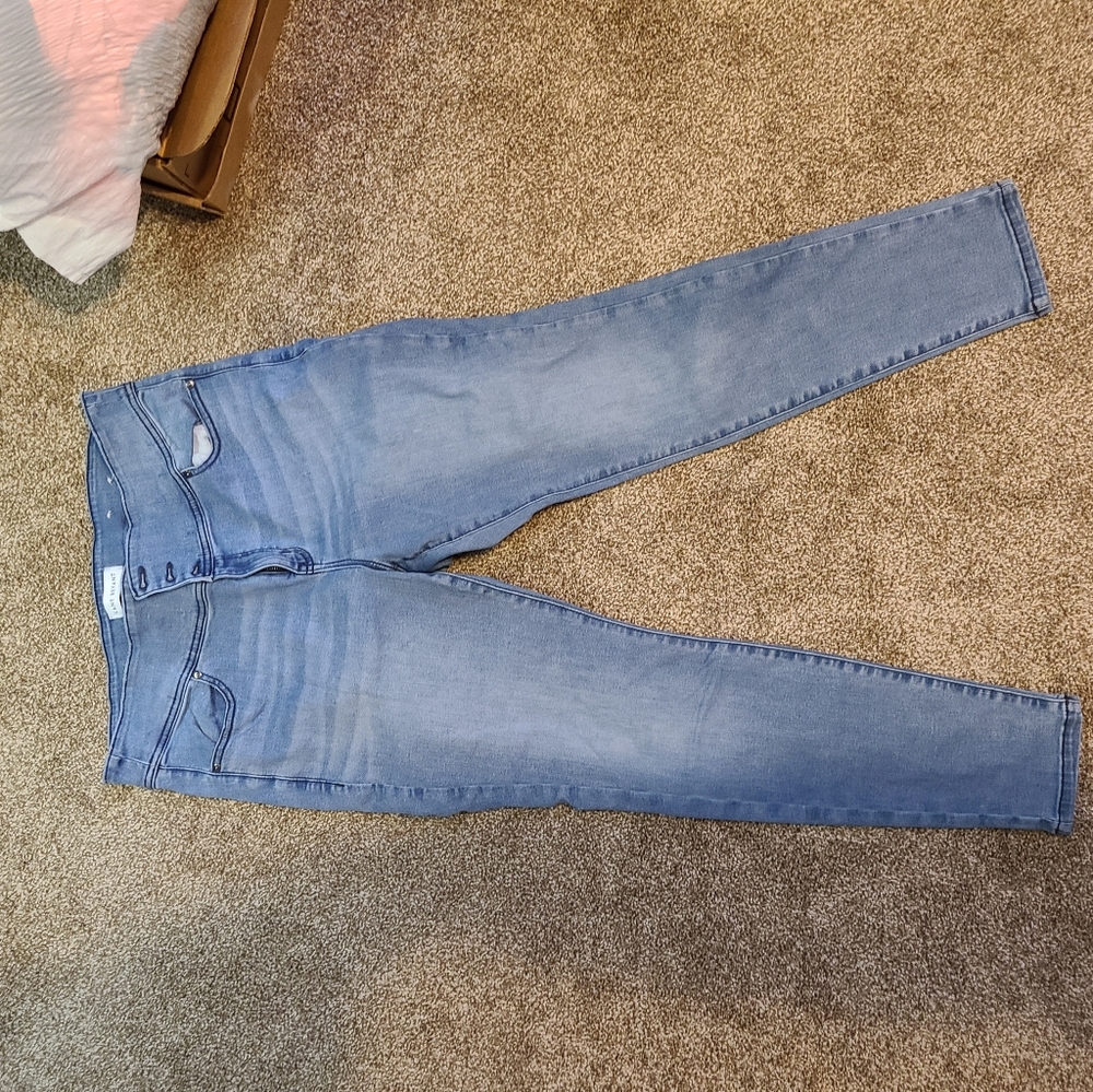 Lane Bryant High Rise Jeggings